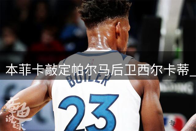 本菲卡敲定帕尔马后卫西尔卡蒂 2000万欧元转会达成