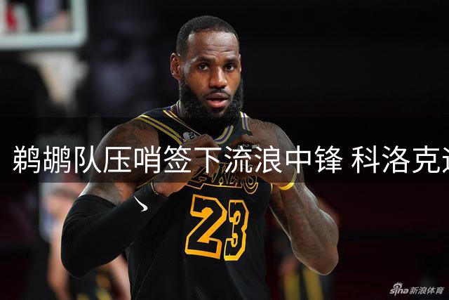 鹈鹕队压哨签下流浪中锋 科洛克迎职业生涯第五站